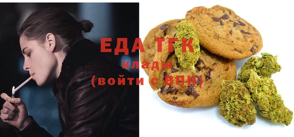 гашик Осташков