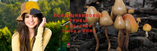 бутират Осинники