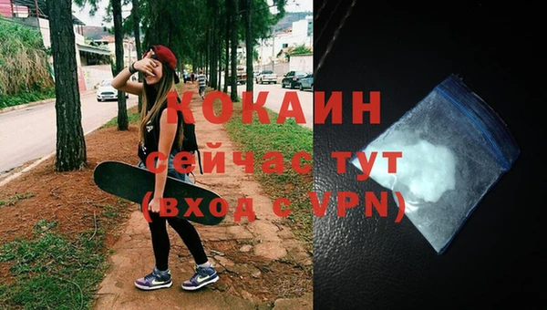 гашик Осташков