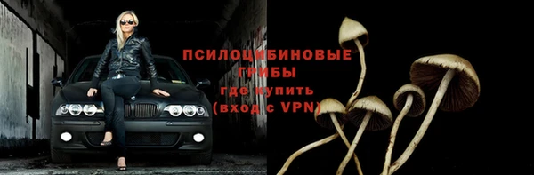 прущая мука Остров