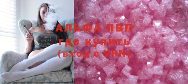 гашик Осташков
