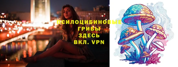 гашик Осташков
