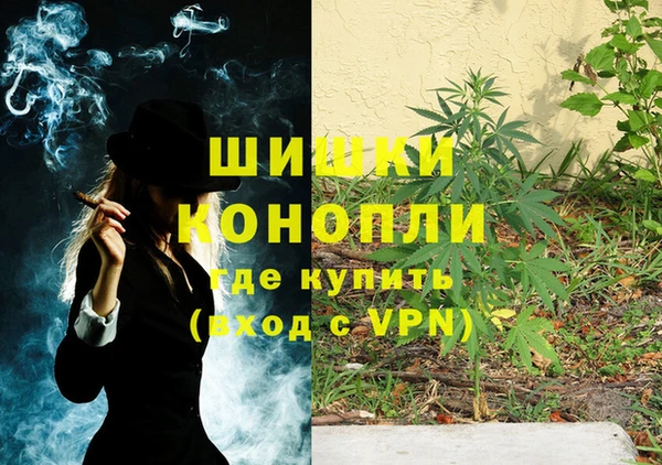 гашик Осташков