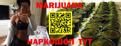 стафф Гусев