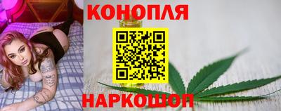 стафф Гусев