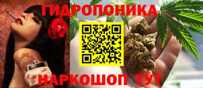 ECSTASY Гусь-Хрустальный