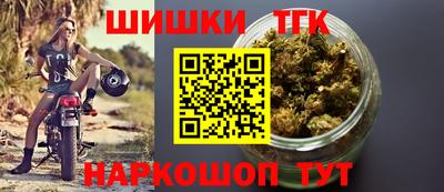 стафф Гусев
